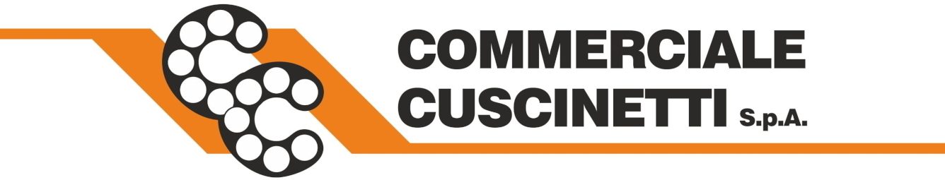 cropped-Logo-COMMERCIALE-CUSCINETTI_LARGE-1.jpg